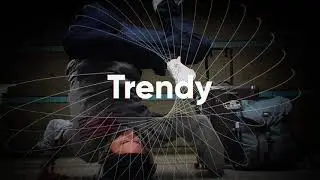 Typography Stomp Opener