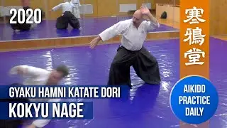 Gyaku Hamni Katate Dori | Kokyu Nage | Aikido practice daily