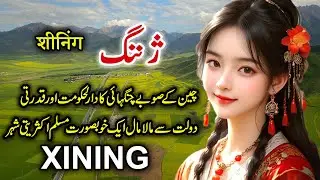 Travel To Xining | Full History And Documentary About Xining in Urdu | سننگ کی سیر