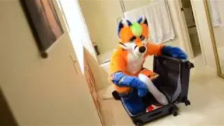 Fluke and Tirox are packing  for Anthrocon