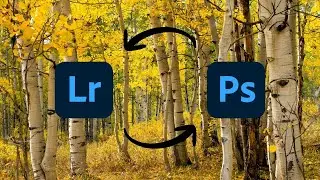Do THIS in Lightroom Before Editing in Photoshop