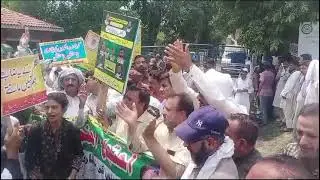 ماڈل ٹاؤن میں LPR کے حوالے سے جاری احتجاج میں خاتون سرکاری ملازم کا انوکھا انداز |LPR|Lahore |PTU|