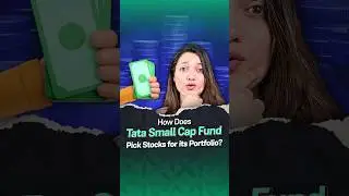 How Does Tata Small Cap Fund Pick Stocks for Its Portfolio?