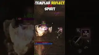 Рефлект Божественного Храмовника против Повелителя стихий в Lineage 2 Eva  #15летlineage2