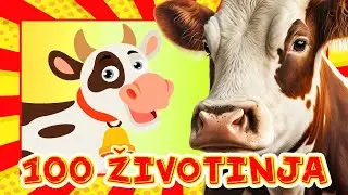 Prvih 100 Životinja 🎴 Učimo nazive životinja i njihovo glasanje 📚 Edukativni video  za vrtićku djecu