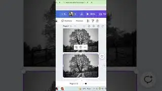 How to change black and white images to color in canva 