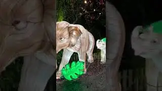 Wilde lights at Dublin Zoo