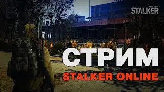 Стрим Stay Out - Иди своей дорогой, Сталкер - №1