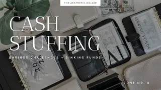 We Might Need to Empty our Sinking Fund Envelopes 🫠 | Cash Stuffing | $1,605 | June No. 3 | Saving