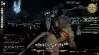 FFXIV WarLion and Bear Long - PuGLife