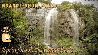 Ngarri-dhum Falls, Springbrook National Park - 360°/VR Immersive Experience