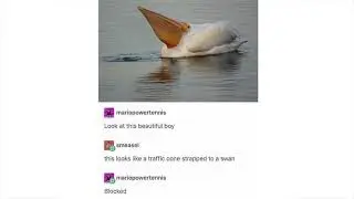 Tumblr Awards v39