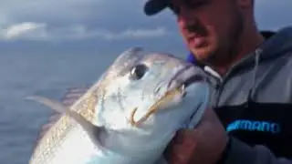 Shimano Sustain Spin Reels - Fishing - BCF