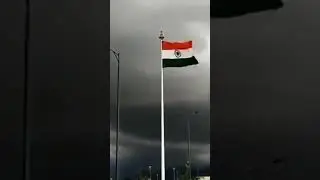 15 August 2024