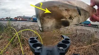 Catching bottles and fish with Underwater drone (fifish v6s)