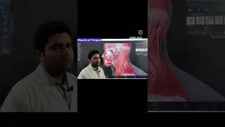 Muscles of Tongue | introduction | Head and Neck | Anatomy