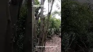 Природа Крыма