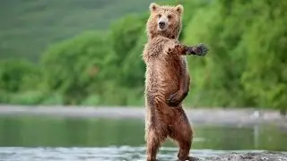 Смешное видео Нарезка #2
