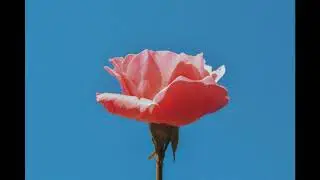 ProdbyJack Sample Challenge - WhiteJ