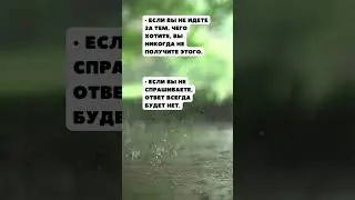 Правила жизни, которых надо придерживаться 
