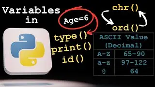 Python Tutorials - Variables Insights 