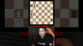 🧩 Найдёте мат в 2 хода за 7 минут?