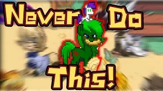 Never Do This In Pony Town