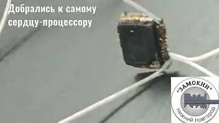 8 мая 2024 г.