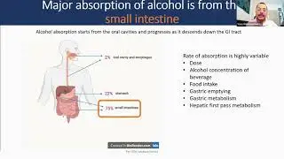 Alcohol Metabolism