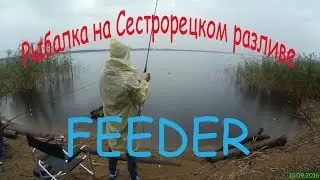Рыбалка на Сестрорецком разливе (фидер) 10.09.2016