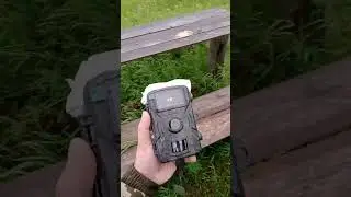 Фотоловушка против вредителей. Рыбацкий домик. ЕЗДА детишечкам!