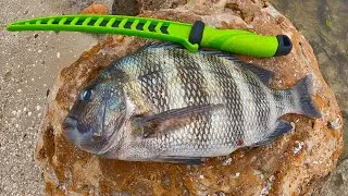 Change This One Thing And Catch More Fish (Catching Redfish, Sheepshead and Snook on Live Shrimp)
