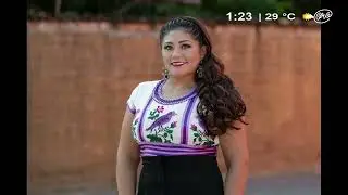 Diputada local abandona las filas del PRI en Oaxaca | Entrevista 📞con Liz Concha