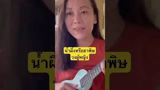 น้ำผึ้งหรือยาพิษ ~ วงผู้หญิง (ukulele cover) #ukulelecover #ukulelecoversong #ukulelesingalong