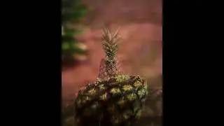 PINEAPPLE OWL