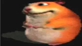 How to find "orange chomik"
