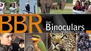 Best Binoculars Under $200/£200