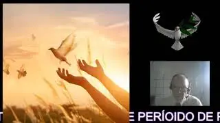 Não há mais condenação Prof. Pr. Jonias C. Feitosa