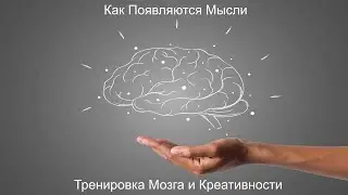 Как Появляются Мысли: Тренировка Мозга и Креативности + Препараты для Ума
