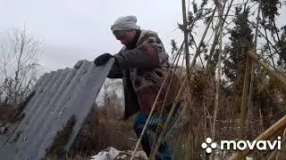 Сельская рутина. Дрессированный кот, урожай,выросший в погребе...