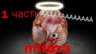 mitoza 1 часть