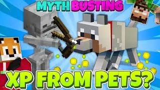 Myth Busting » Do Wolves give XP when they kill Skeletons?