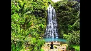Exploring nature in New Zealand: Auckland & Karekare 🇳🇿