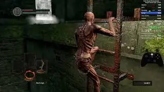 DSR Any% Force Quit Dropmod 18 20