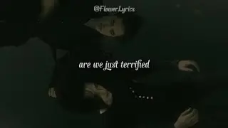 Rosyln -  Bon Iver & St  Vincent || Aren't we just terrified?... (version lyrics/sad)