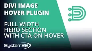 Divi Theme Hover Effects Full Width Hero Section With CTA On Hover 👍