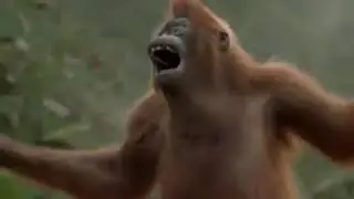 El mono feo que vaila