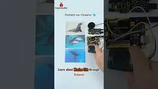 #shorts 🐞How to use Arduino to learn about Endangered Creatures in the Ocean❓ #arduino #keyestudio