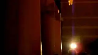 cultura nova