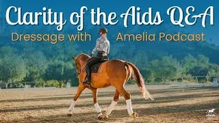 Clarity of the Aids Q&A